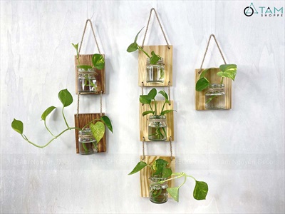 Tấm gỗ lọ thủy tinh treo tường thủy canh nhiều tầng [2 màu - 3 Size] BINHLOHOA-06